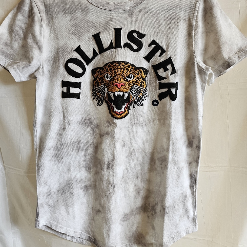 Hollister t shirt